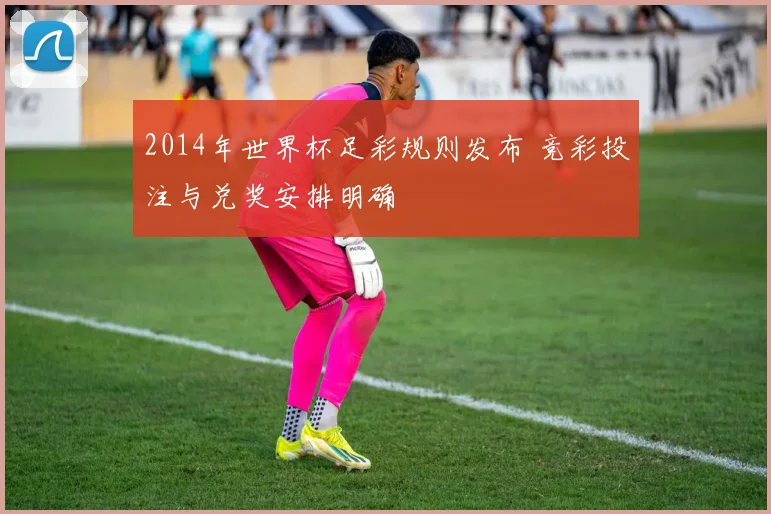 2014年世界杯足彩规则发布 竞彩投注与兑奖安排明确