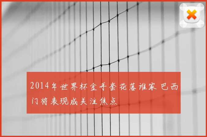 2014年世界杯金手套花落谁家 巴西门将表现成关注焦点