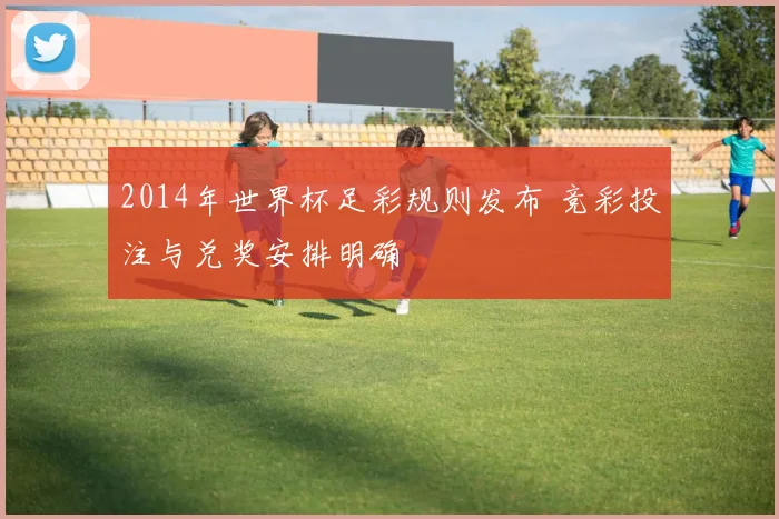 2014年世界杯足彩规则发布 竞彩投注与兑奖安排明确